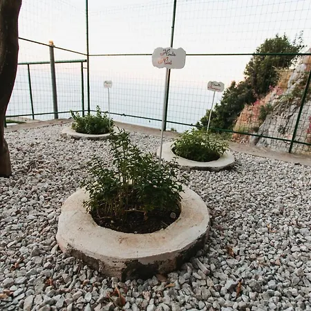 Hébergement de vacances Paradise Garden House *