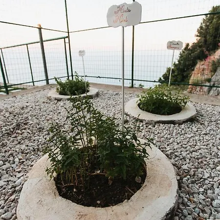 Hébergement de vacances Paradise Garden House Agerola